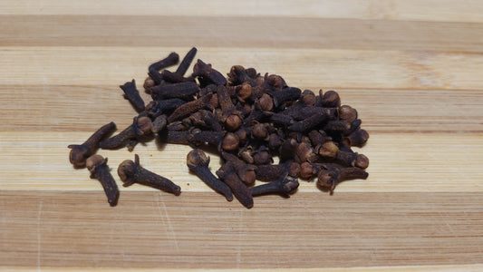 Clove (Syzygium aromaticum) botanical photograph