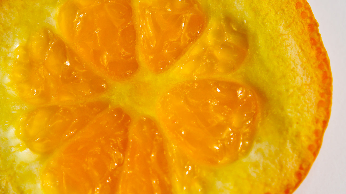 Orange Peel (Citrus sinensis) botanical photograph