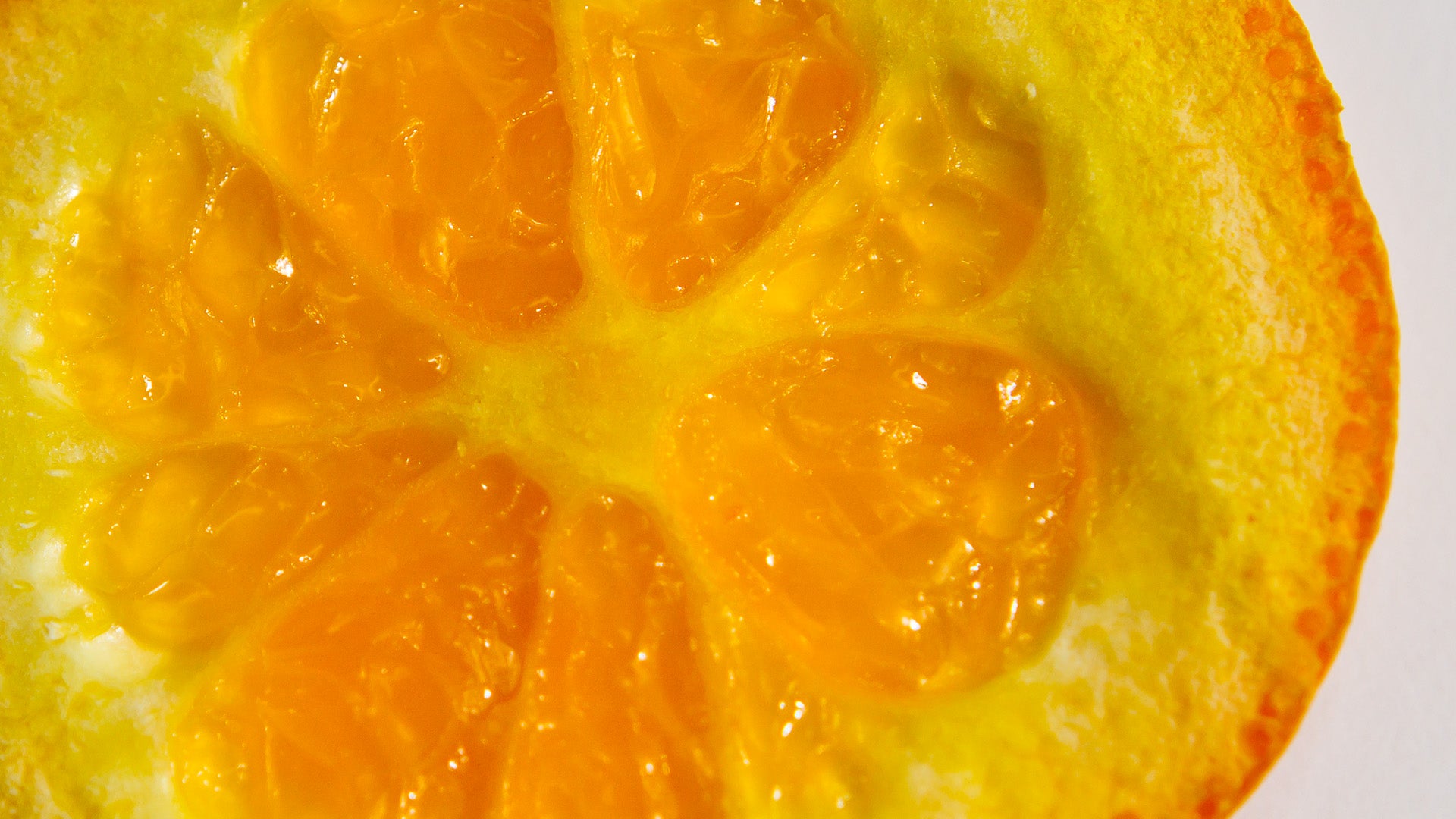 Orange Peel (Citrus sinensis) botanical photograph